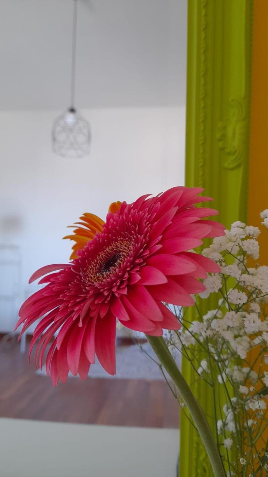 Sole Amare Guest House บารี ภายนอก รูปภาพ